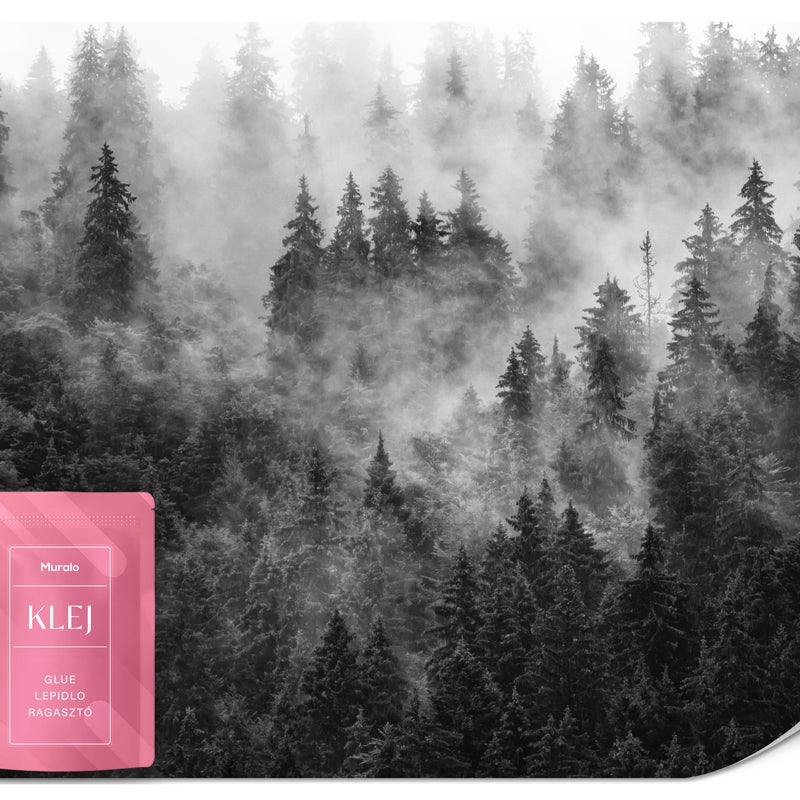 FOTOTAPETA DO SYPIALNI SALONU CZARNO-BIAŁY LAS WE MGLE GÓRY PEJZAŻ 450x315