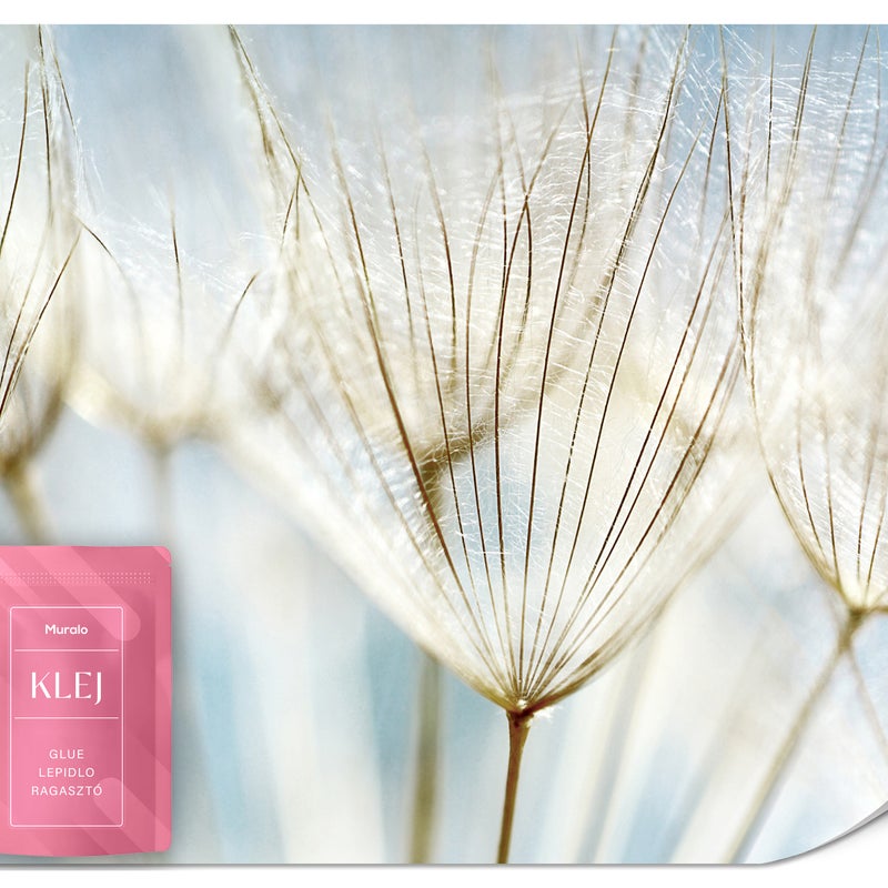 FOTOTAPETA DO SALONU SYPIALNI DMUCHAWCE KWIATY NIEBO NATURA ROŚLINY 150x105