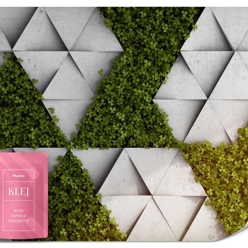 FOTOTAPETA DO SALONU ABSTRAKCJA KONICZYNA ROŚLINY TRÓJKĄTY EFEKT 3D 450x315