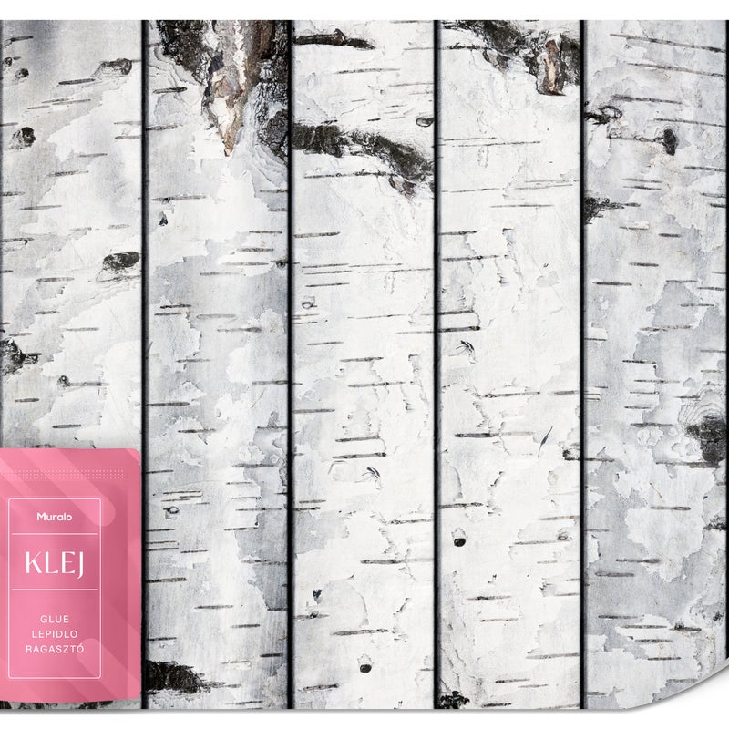 FOTOTAPETA DO SALONU JADALNI KORA BRZOZY DRZEWA NATURA LAS EFEKT 3D 500x350