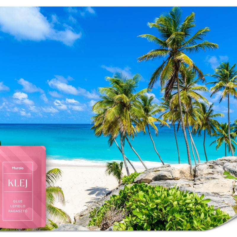 FOTOTAPETA DO SALONU SYPIALNI PLAŻA OCEAN RAJSKA WYSPA PALMY PEJZAŻ 150x105