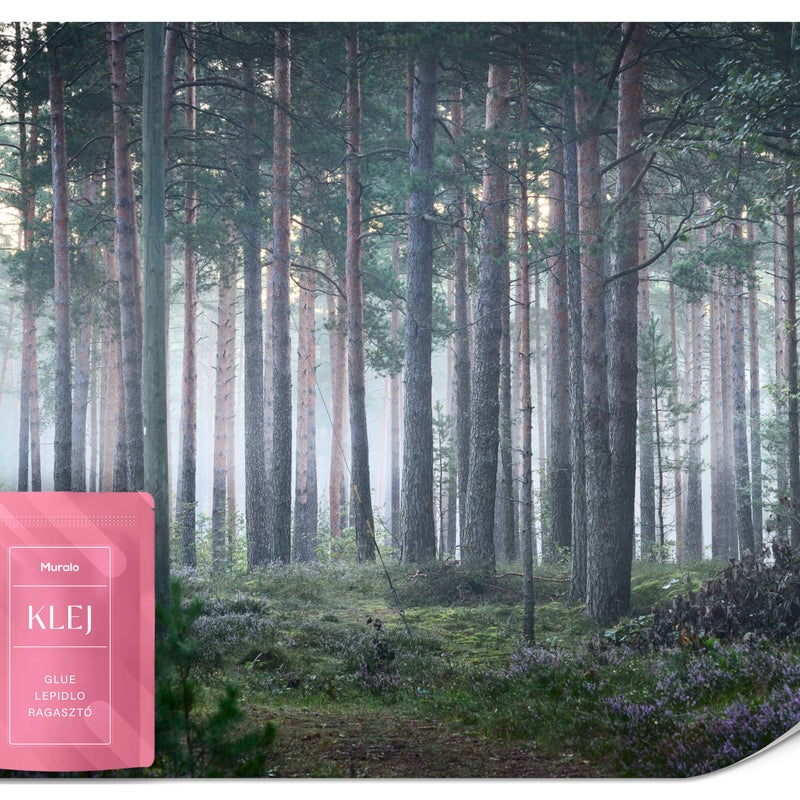 FOTOTAPETA MGLISTY LAS DRZEWA NATURA 3D TAPETA NA ŚCIANĘ DO SALONU 500x350