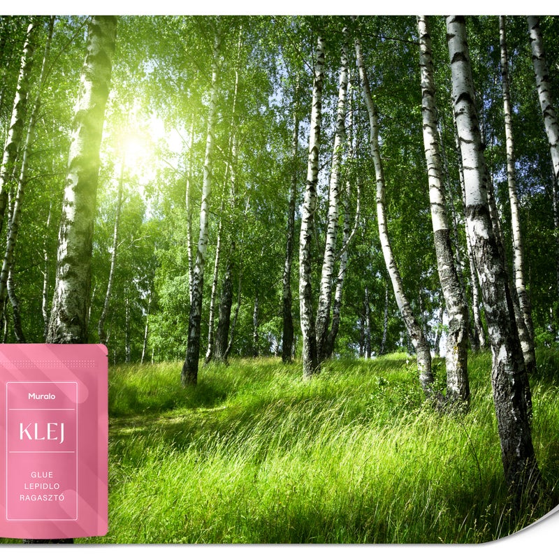 FOTOTAPETA DO SALONU SYPIALNI LAS BRZOZY WSCHÓD SŁOŃCA PEJZAŻ 3D 150x105