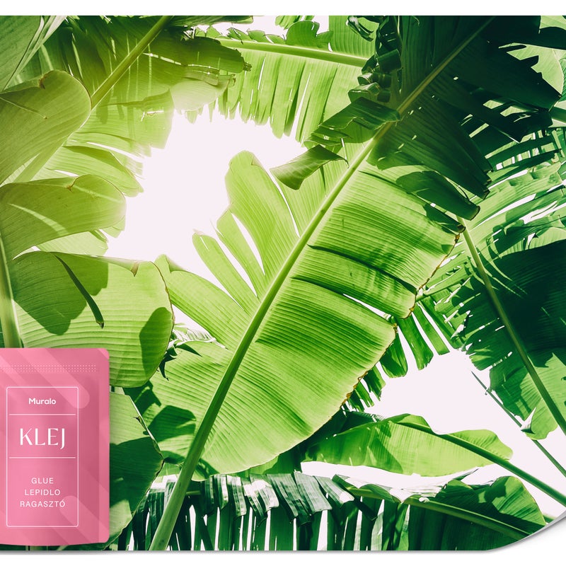 FOTOTAPETA DO JADALNI SALONU LIŚCIE BANANOWIEC ROŚLINY NATURA 3D 450x315