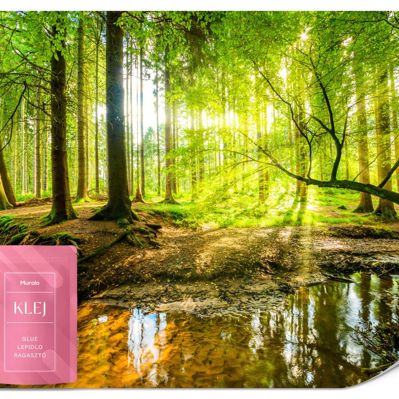 FOTOTAPETA DO SYPIALNI SALONU LAS NATURA RZEKA KRAJOBRAZ DRZEWA 3D 500x350