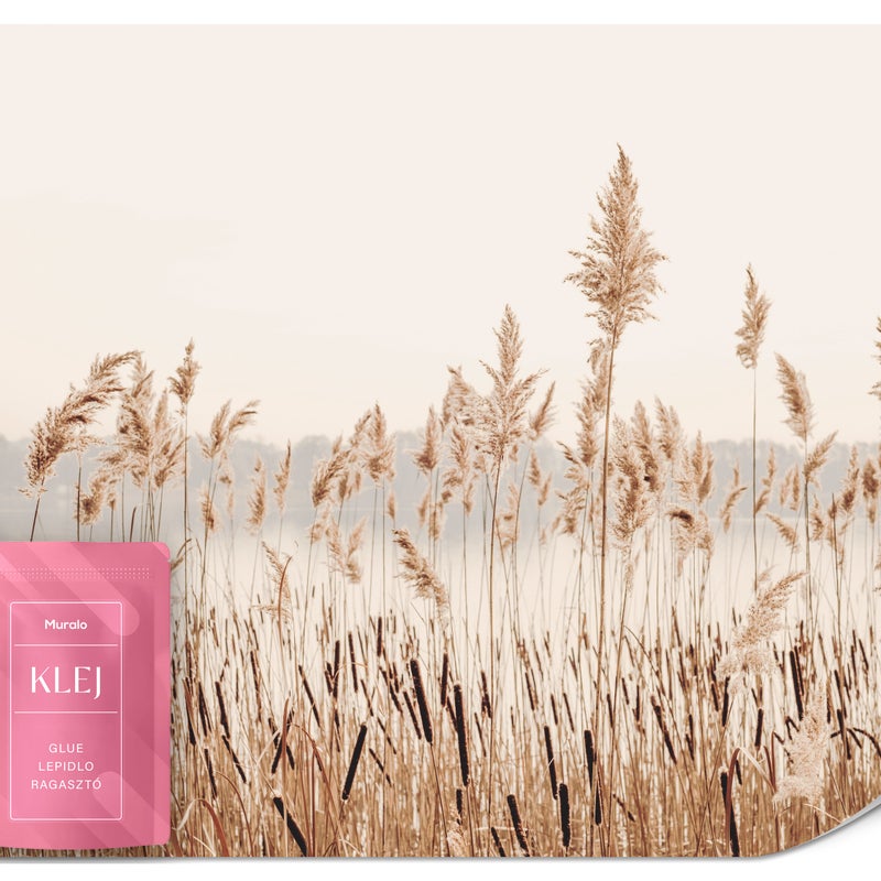 FOTOTAPETA NA ŚCIANE JEZIORO TRZCINY TRAWA NATURA TAPETA BOHO 300x210