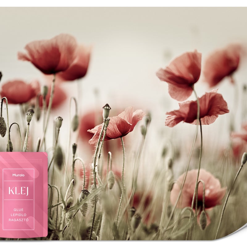 FOTOTAPETA DO SALONU JADALNI POLNE KWIATY MAKI NATURA ROŚLINY 3D 200x140