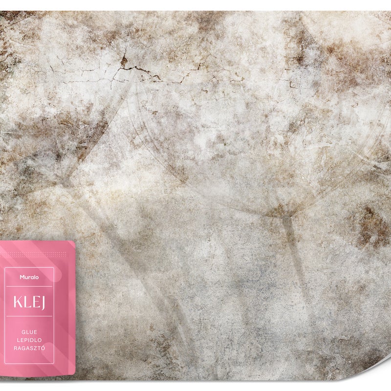 FOTOTAPETA DO SALONU BIURA DMUCHAWCE KWATY MURAL BETON ABSTRAKCJA 100x70