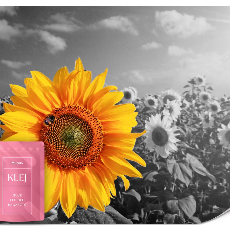 FOTOTAPETA DO SALONU JADALNI POLE KWIATÓW SŁONECZNIKI STYL BOHO 3D 150x105