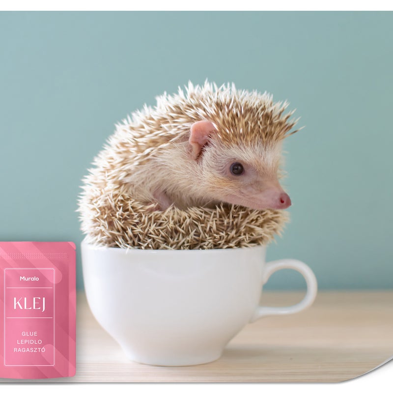 FOTOTAPETA DLA DZIECI JEŻYK SŁODKIE ZWIERZĄTKO TAPETA DZIECIĘCA 100x70