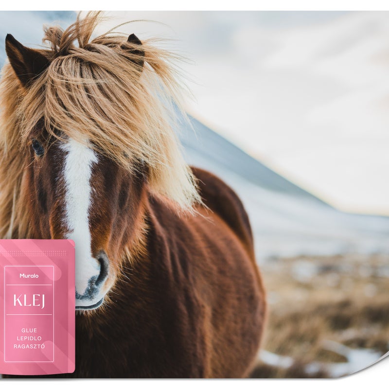 FOTOTAPETA ŚCIENNA ISLANDZKI DZIKI KOŃ NATURA ZIMOWY KRAJOBRAZ 3D 500x350