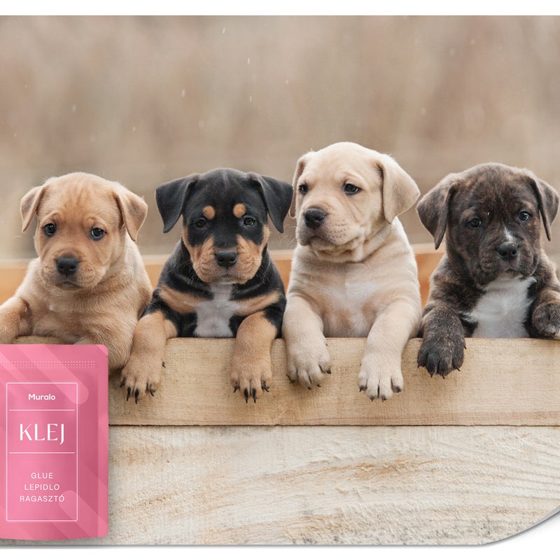 FOTOTAPETA DO POKOJU DZIECI PIESKI SZCZENIACZKI ZWIERZĘTA EFEKT 3D 300x210