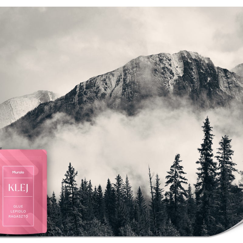 FOTOTAPETA DO SYPIALNI SALONU GÓRY WE MGLE LAS KRAJOBRAZ EFEKT 3D 250x175