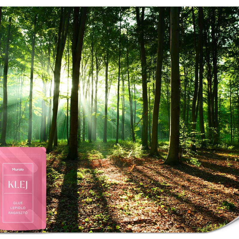 FOTOTAPETA DO SYPIALNI LAS NATURA PROMIENIE SŁOŃCA PEJZAŻ EFEKT 3D 350x256