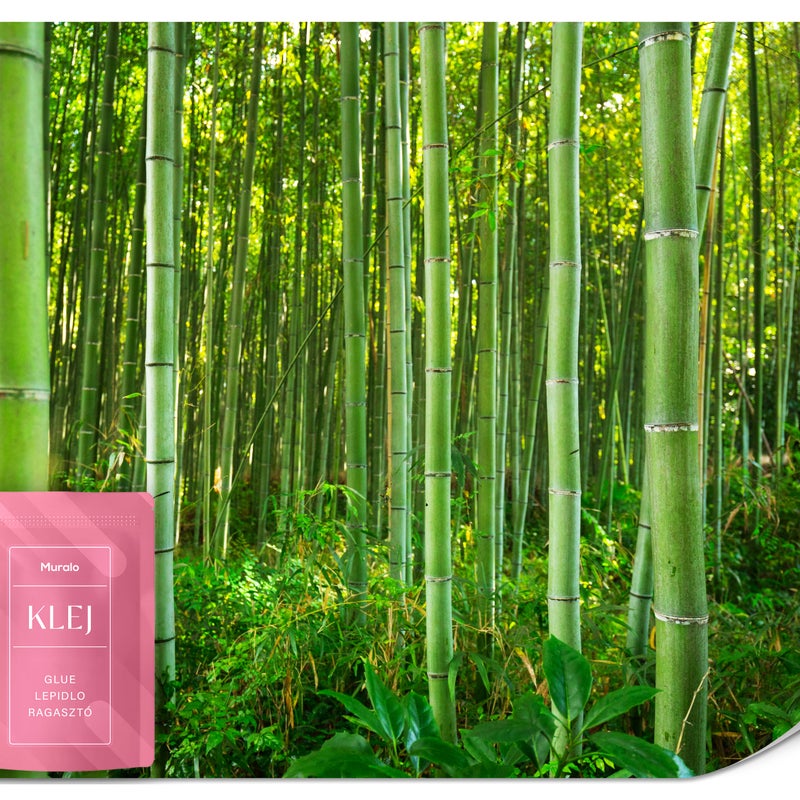 FOTOTAPETA DO SALONU JADALNI LAS BAMBUSOWY ROŚLINY NATURA PEJZAŻ 3D 100x70
