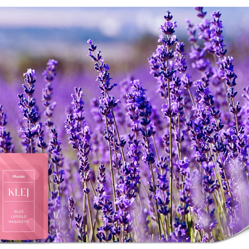 FOTOTAPETA DO SYPIALNI JADALNI POLE LAWENDY KWIATY KRAJOBRAZ 3D 400x280