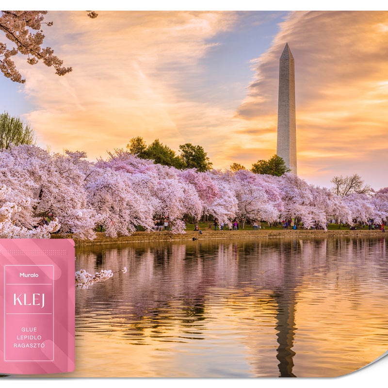 FOTOTAPETA DO BIURA SALONU WASZYNGTON DRZEWA ZACHÓD SŁOŃCA PEJZAŻ 300x210