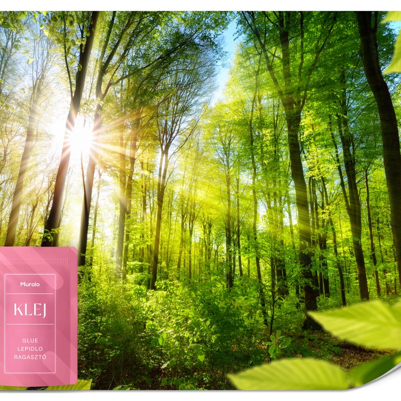 FOTOTAPETA DO SALONU SŁONECZNY LAS KRAJOBRAZ NATURA LIŚCIE EFEKT 3D 500x350