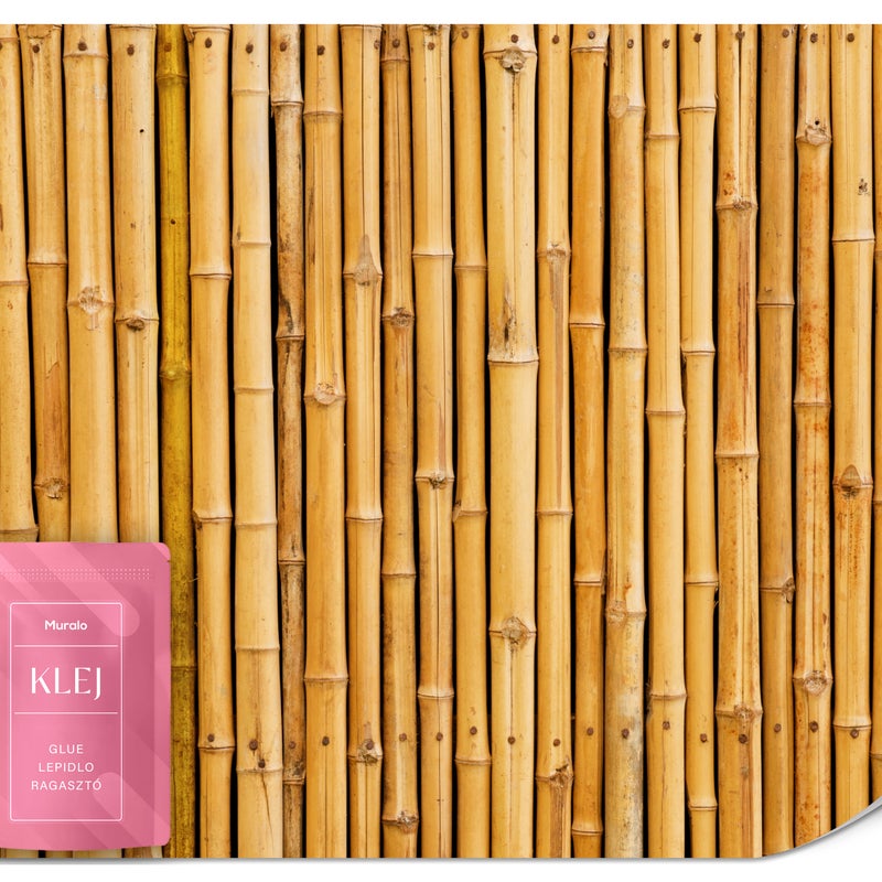 FOTOTAPETA DO SYPIALNI SALONU BAMBUS NATURA ROŚLINY 3D ABSTRAKCJA 350x256