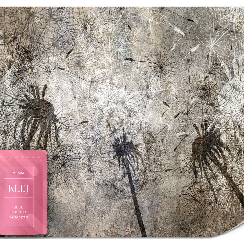 FOTOTAPETA DO SALONU BIURA DMUCHAWCE KWIATY BETON MURAL ABSTRAKCJA 100x70