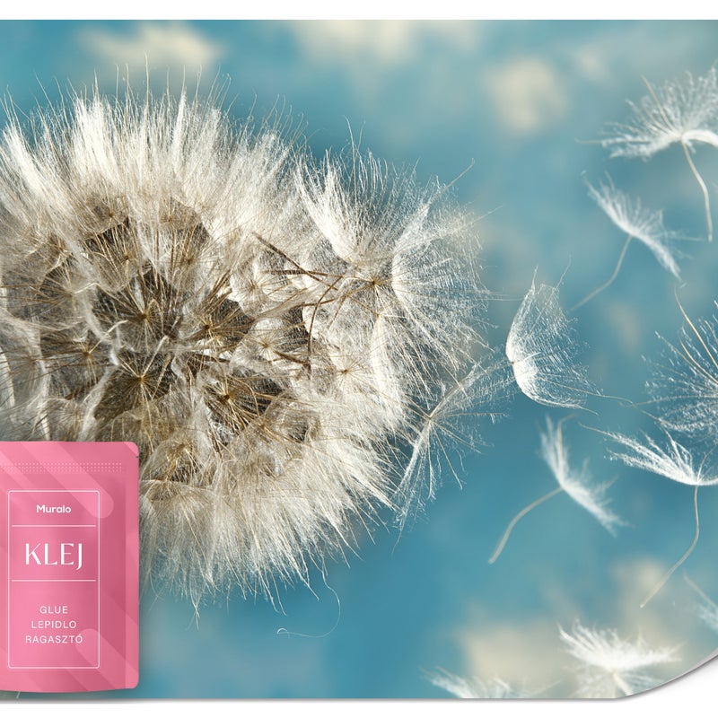 FOTOTAPETA DO SALONU SYPIALNI KWIATY DMUCHAWCE NATURA ROŚLINY 3D 150x105