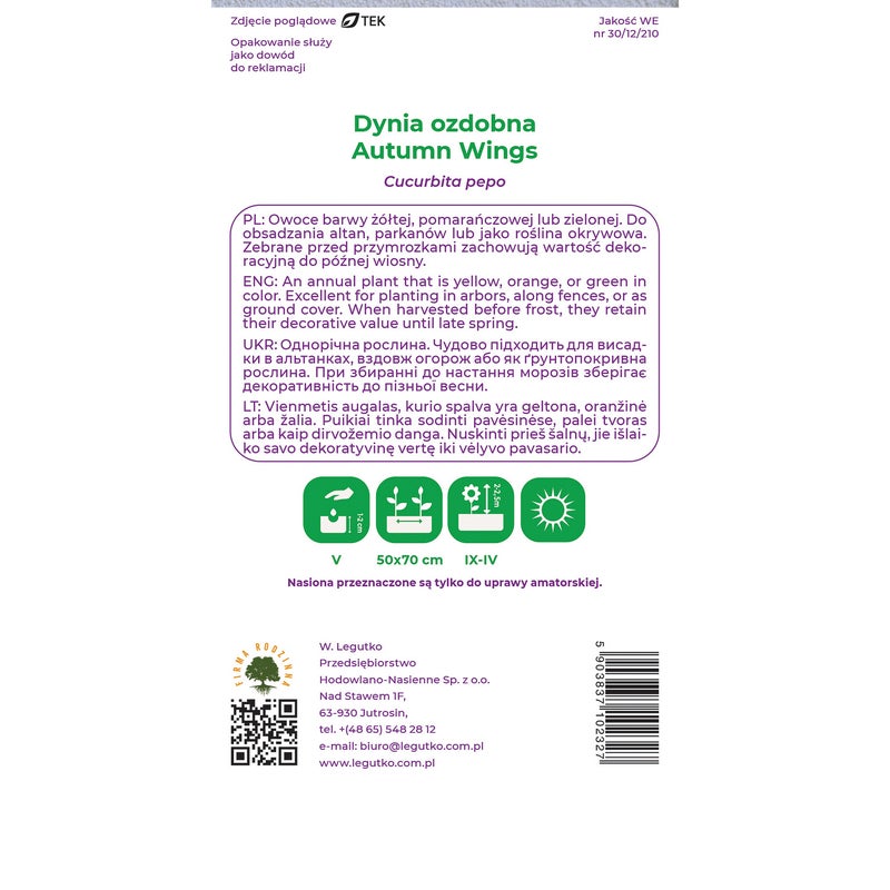 Dynia zwyczajna ozdobna Autumn Wings nasiona warzyw W.Legutko