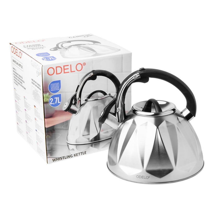 Czajnik ODELO GANNON srebrny satynowy 2,7l 1szt. DH-OD3002