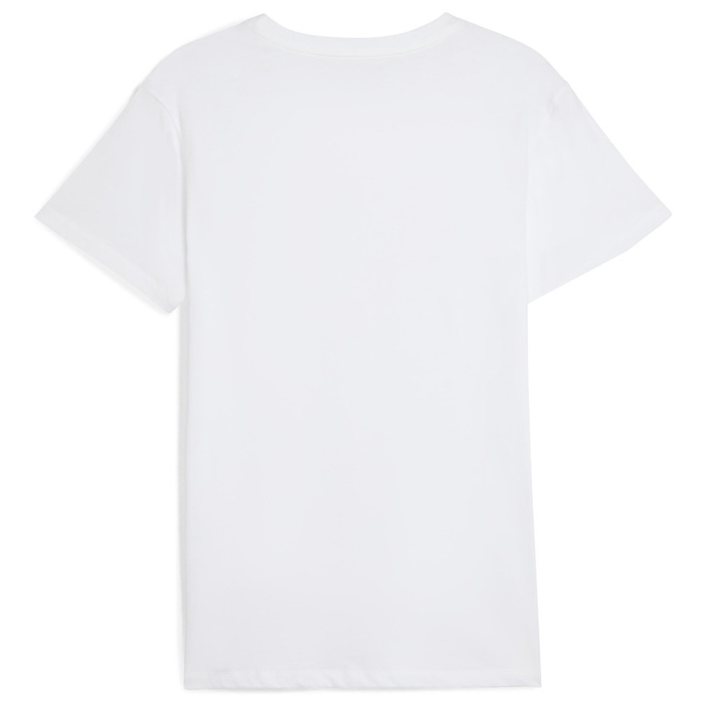 Koszulka męska Puma Everyday Crew Neck Tee 2P Rozmiar: L / Kolor: biały