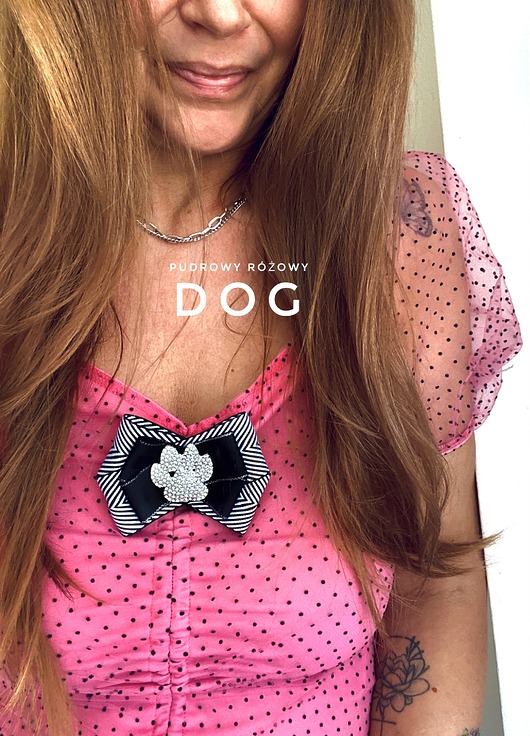 Kolekcja DOG Brosza z łapką wysadzaną kryształkami New