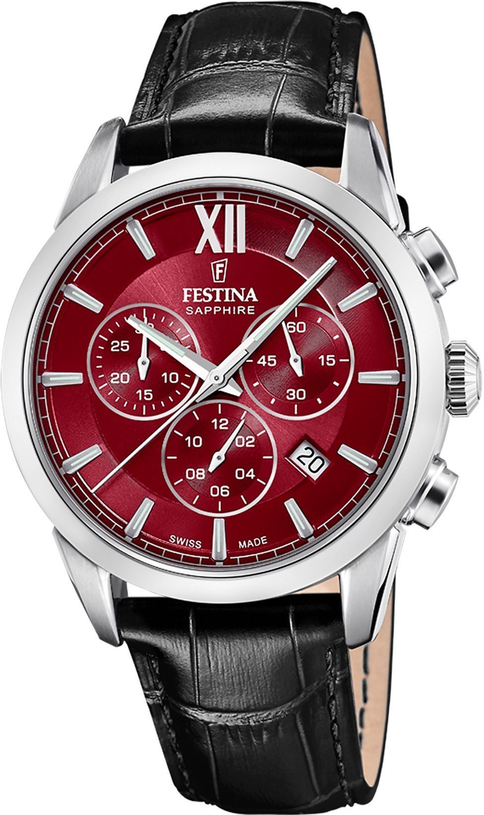 Zegarek męski Festina Swiss Made F20041-5