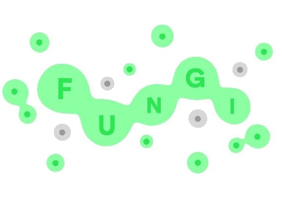 Fungi (PC) Steam Key - GLOBAL