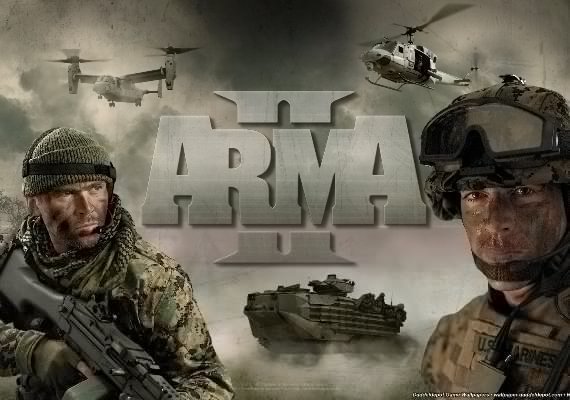 Arma 2 (PC) Steam Gift - EU