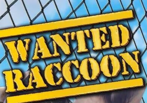 Wanted Raccoon (PC) Steam Gift- GLOBAL
