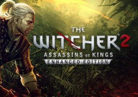 The Witcher 2 (PC) Steam Gift - GLOBAL