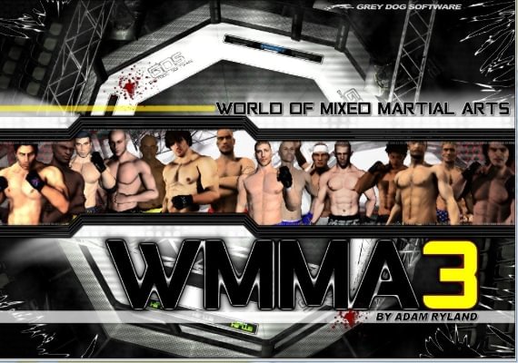 World of Mixed Martial Arts 3 (PC) Steam Key - GLOBAL