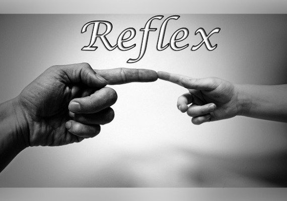 Reflex (PC) Steam Key - GLOBAL