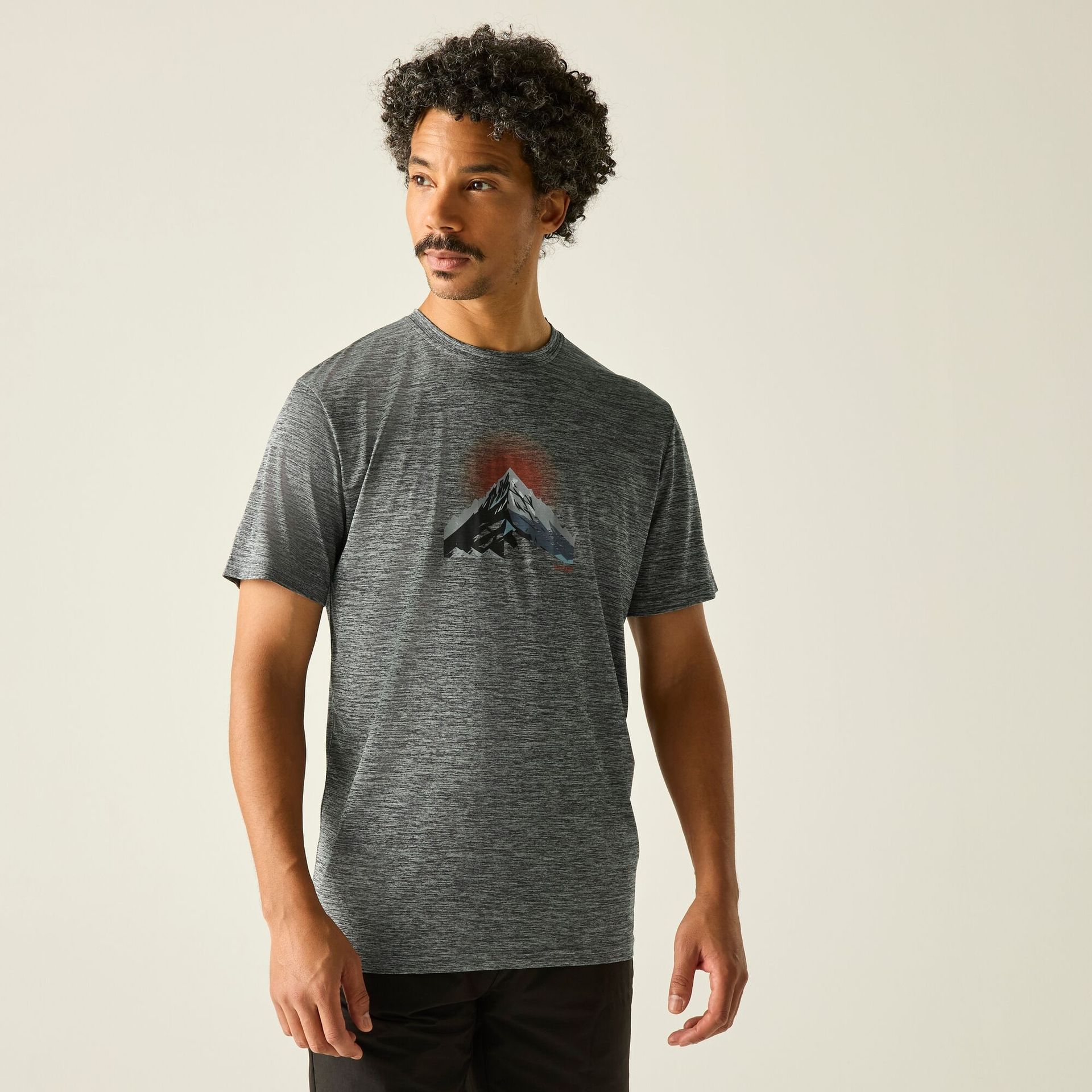 Regatta Regatta Koszulka męska Fingal Graphic Szary, Rozmiar: 3XL