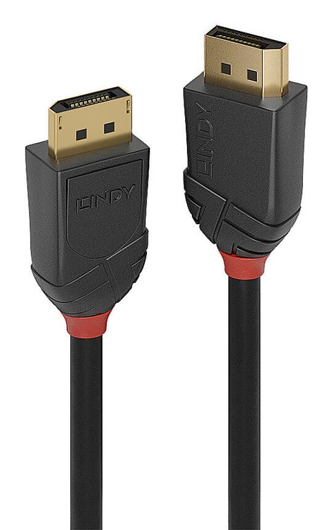 Lindy 36521 kabel DisplayPort 2 m Czarny