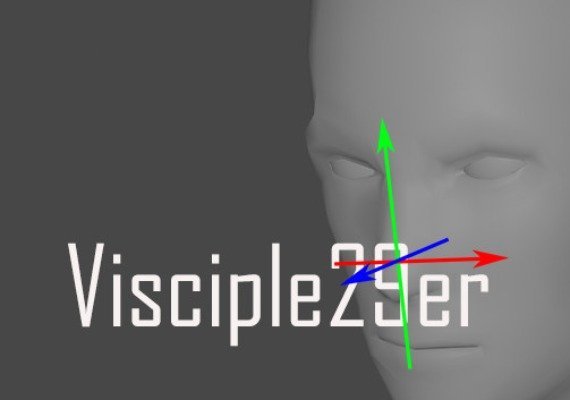 Visciple29er Key - GLOBAL