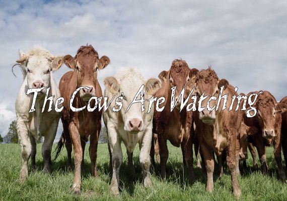 The Cows Are Watching (PC) Steam Key - GLOBAL