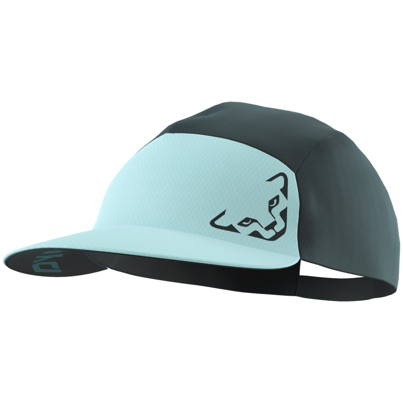 Bejsbolówka Dynafit Alpine Visor Cap Kolor: niebieski/jasnoniebieski
