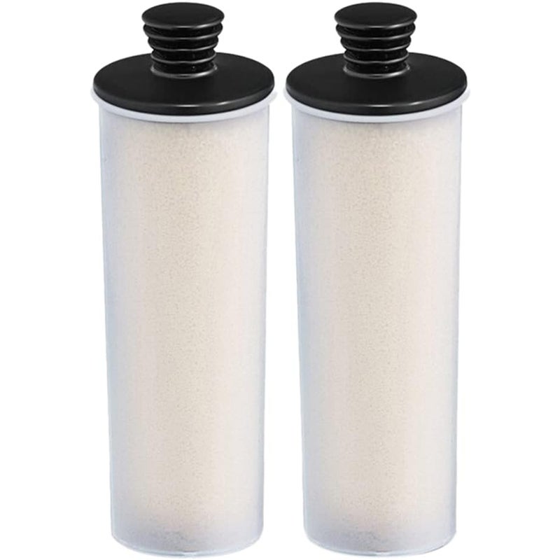 Części zamienne do odkamieniania parownic pionowych, odkamieniacz w sztyfcie do serii SC3 SC 3 Easyfix/SC3MX/SC3 127V BR Filtr odkamieniający