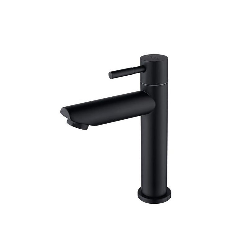 Bateria umywalkowa z zimną wodą, bateria umywalkowa z zimną wodą do WC, bateria z wylewką o wysokości 100 mm, ze stali nierdzewnej w kolorze matowej
