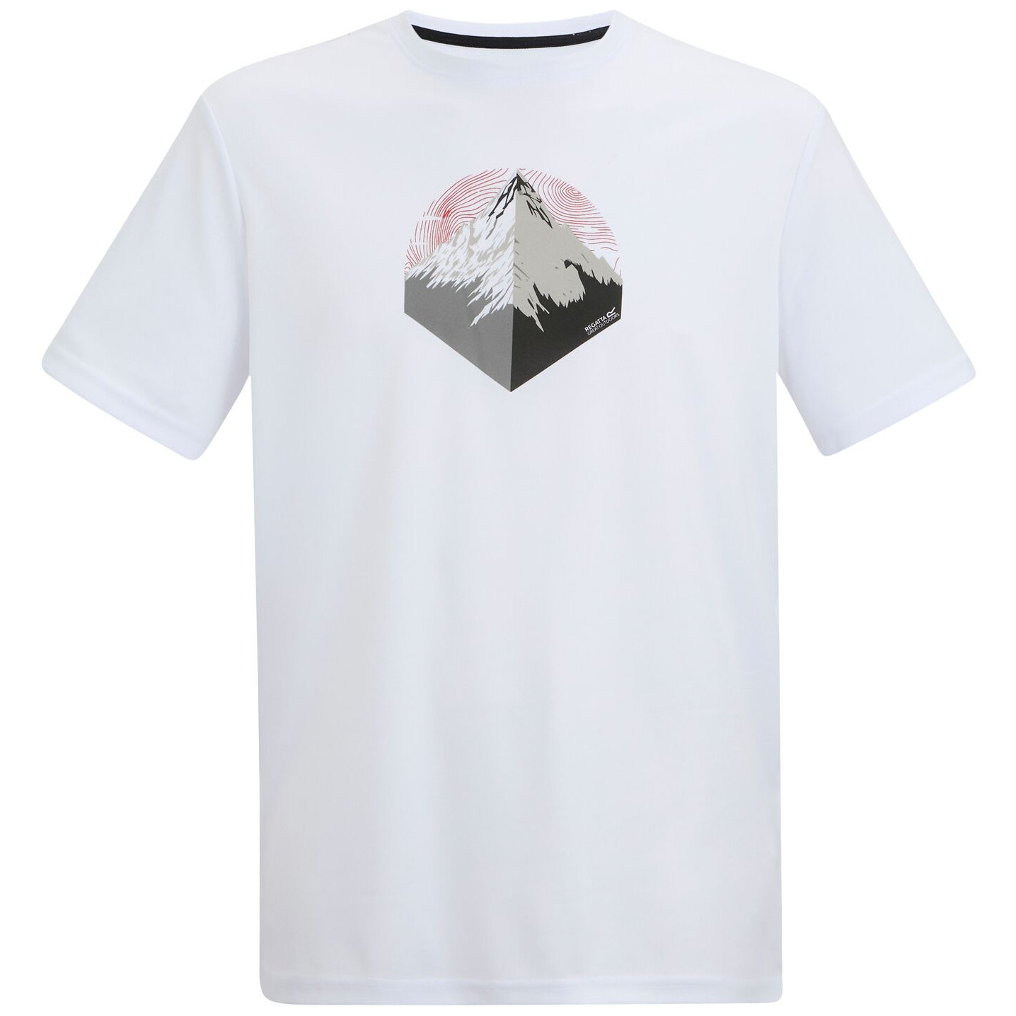 Koszulka męska Regatta Fingal Graphic T-Shirt Rozmiar: XXL / Kolor: biały