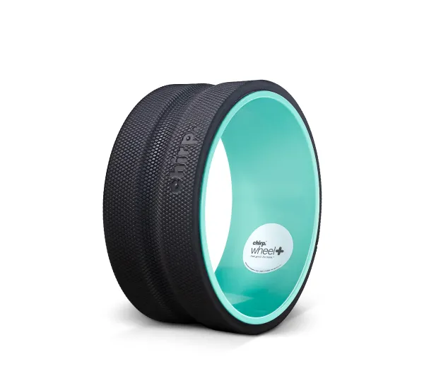 Chirp Wheel+ 10