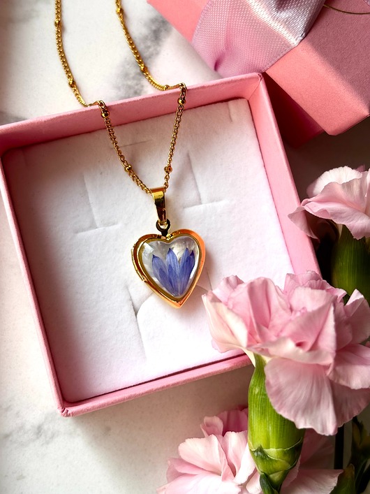 Sekretnik Serce Chaber