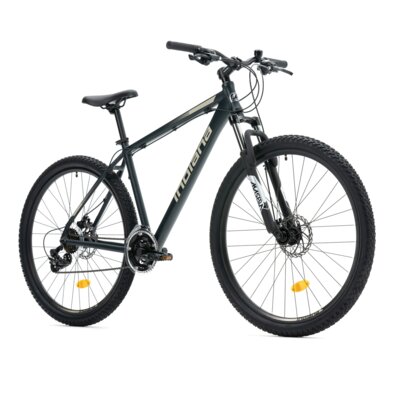Rower górski MTB INDIANA X-Pulser 1.9 M19 29 cali męski Grafitowo-beżowy