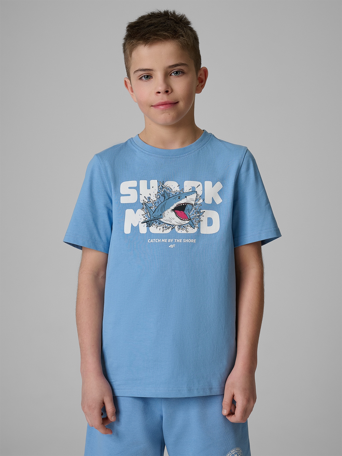 4F T-shirt regular z nadrukiem chłopięcy - niebieski 158 (12-13 lat)