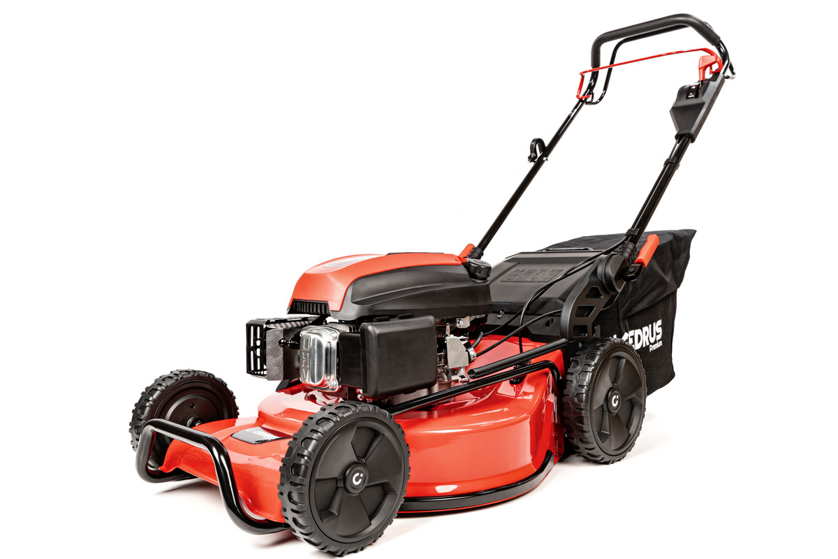Cedrus Premium z napędem CEDLP53S