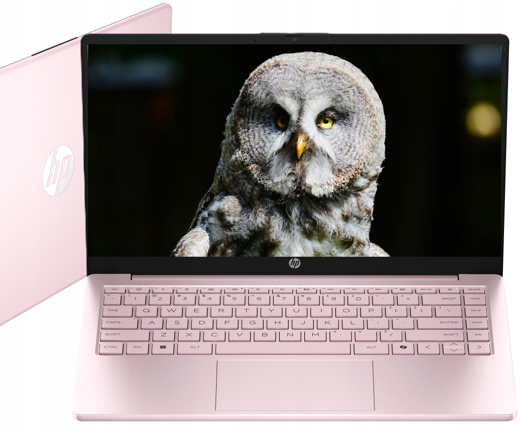 HP Limitowany Intel N 8GB 128GB Intel UHD Graphics HD Win 11 Różowy